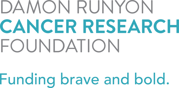 Damon Runyon Cancer Research Foundation Logo. Funding brave and bold.