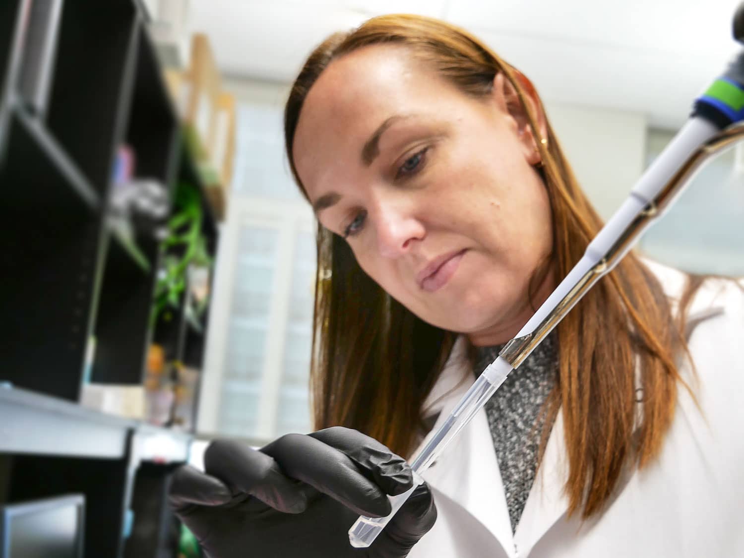 cancer researcher performing an experiment