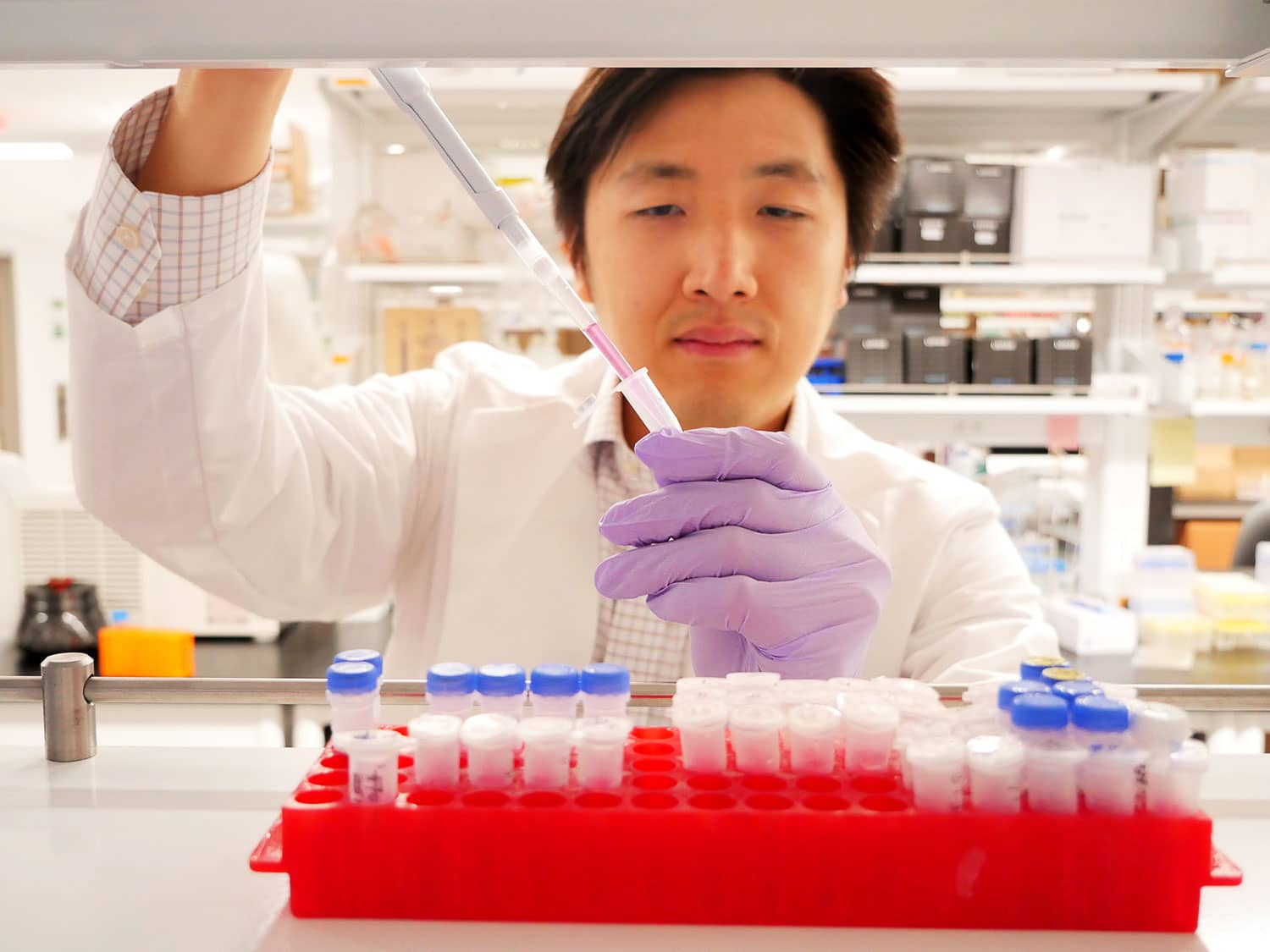 cancer researcher performing an experiment